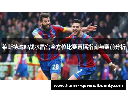 莱斯特城迎战水晶宫全方位比赛直播指南与赛前分析