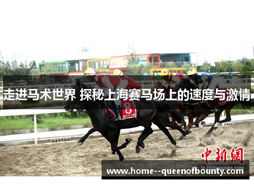 走进马术世界 探秘上海赛马场上的速度与激情
