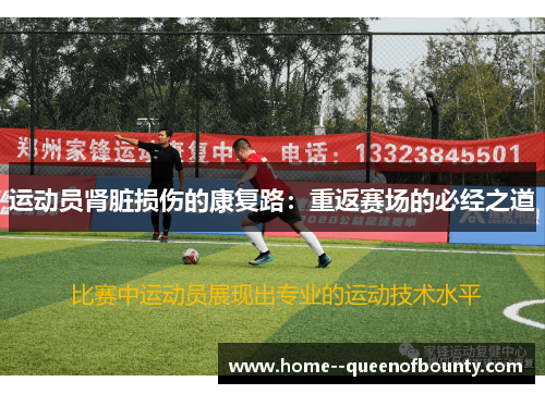 运动员肾脏损伤的康复路：重返赛场的必经之道