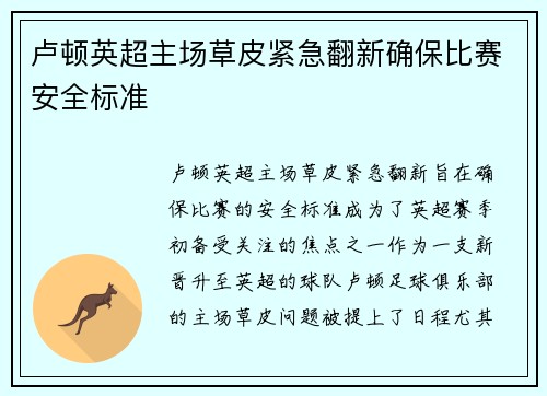 卢顿英超主场草皮紧急翻新确保比赛安全标准 卢顿英超主场草皮紧急翻新确保比赛安全标准